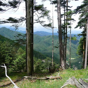 Von Gutenstein nach Puchberg