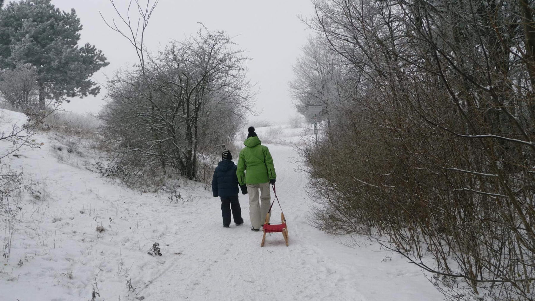 Rodeln auf der Perchtoldsdorfer Heide