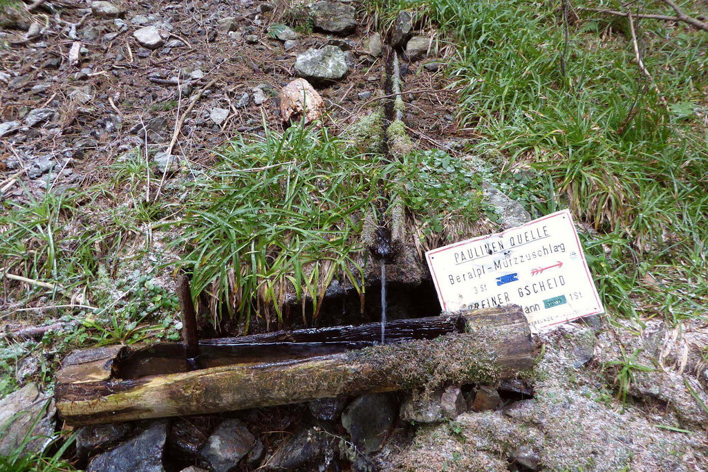 Von der Paulinenquelle brauchen wir noch 40min auf den Tratenkogel.