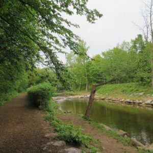 Wegerl im Helenental und Badener Lindkogel