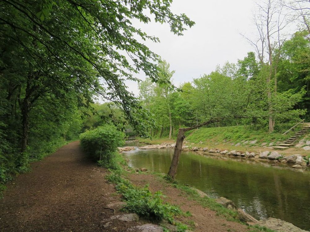Am Uferweg der Schwechat. Foto: Pedro Labut.