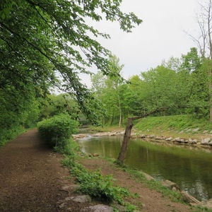 Wegerl im Helenental und Badener Lindkogel