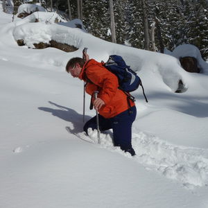 Im Tiefschnee auf die Gemeindealpe
