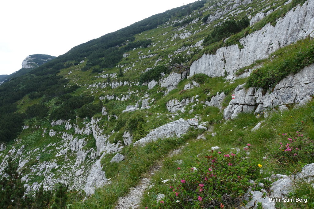 Querung kurz vor dem Dürrenstein Gipfel