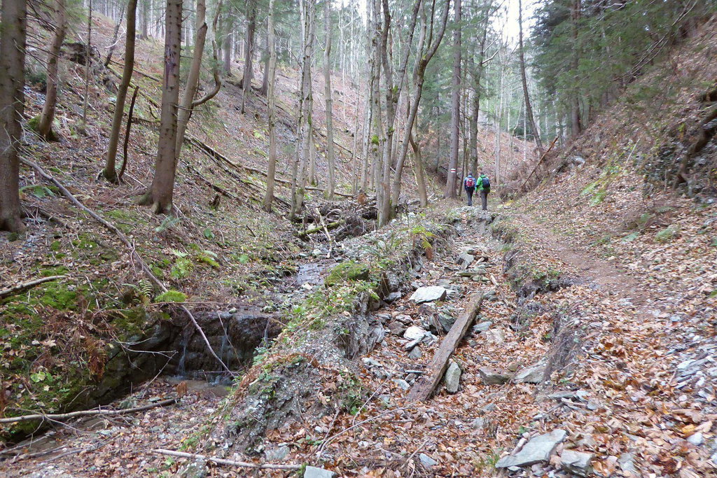 Der Rettenbach ist ein regulierter Wasserlauf. Mir fällt auf, dass es zwischendurch immmer wieder Stellen gibt, an denen er sich nicht in die Regulierung fügt und sich selbst ein Bett sucht.