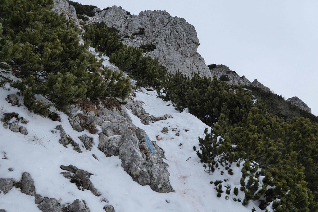 Derzeit liegt ab der Hälfte des Weges Schnee.
