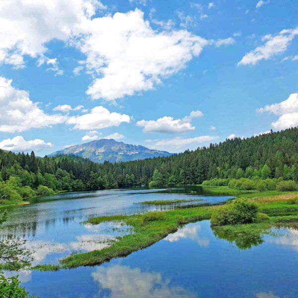 Die Aussicht beim Stapelhaus auf den See und den Ötscher ist atemberaubend. Foto: Magda Abl.