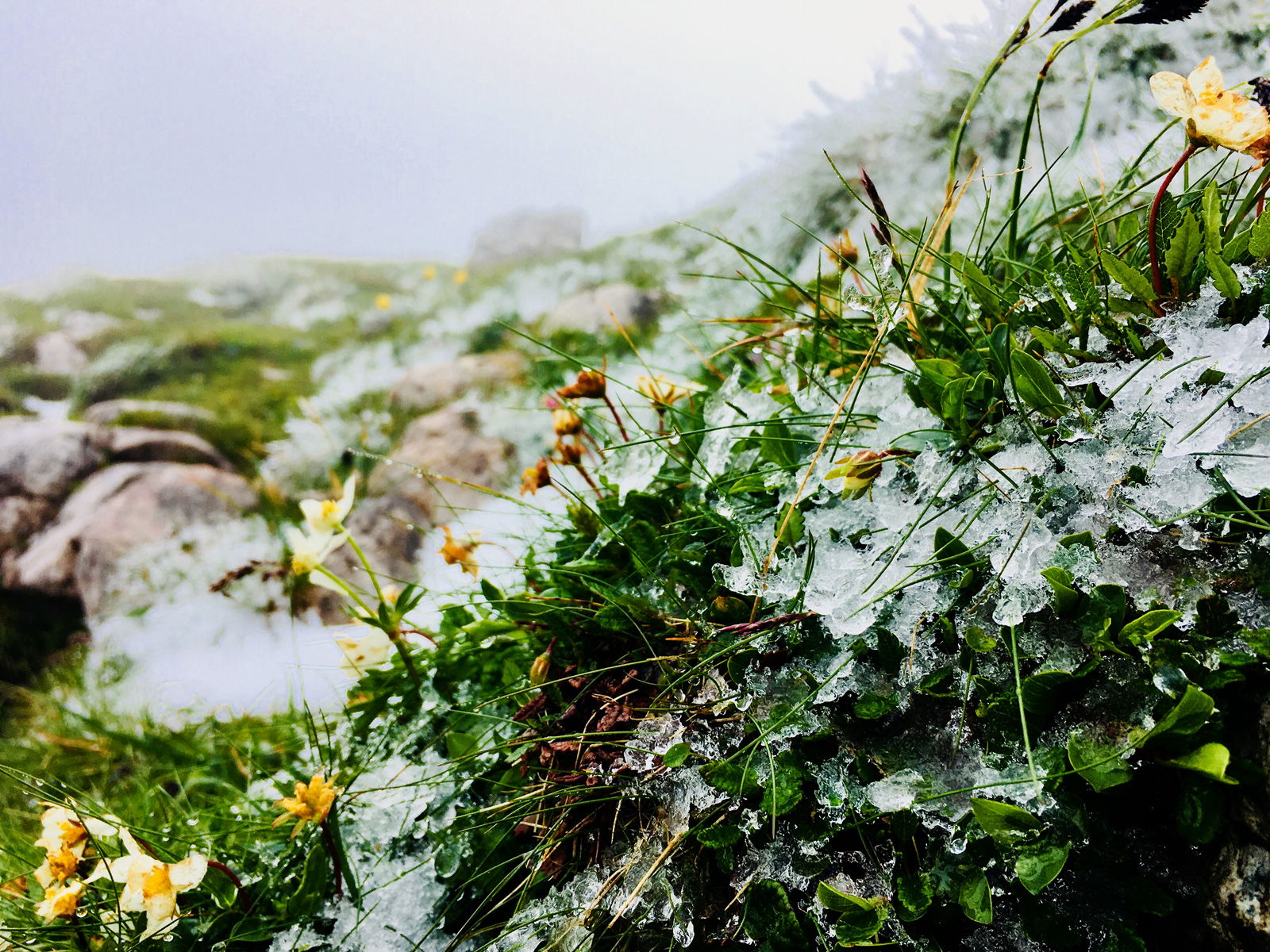 Auf ein Eis am Großen Pyhrgas