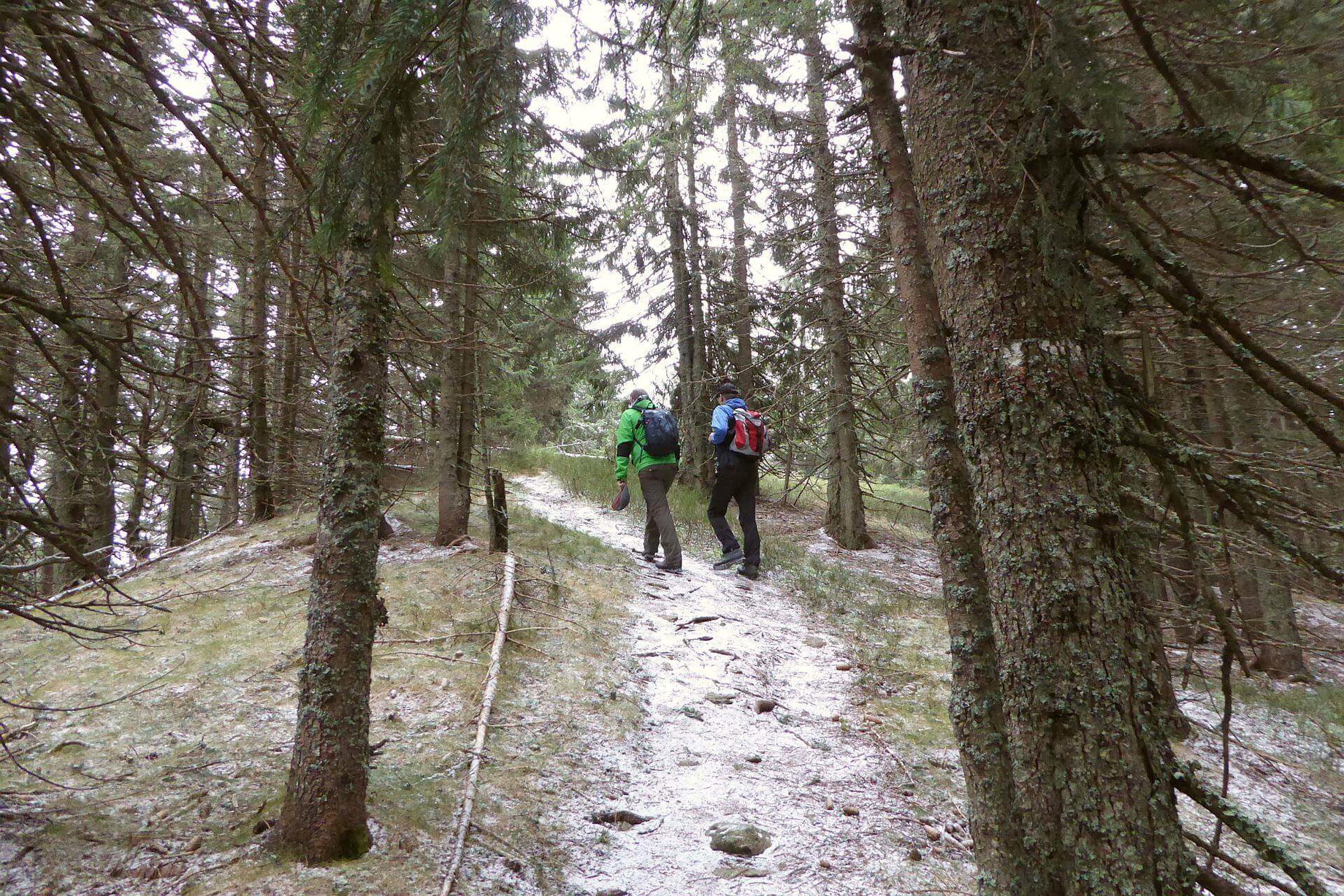 Die letzten Meter zum Gipfel des Tratenkogels.