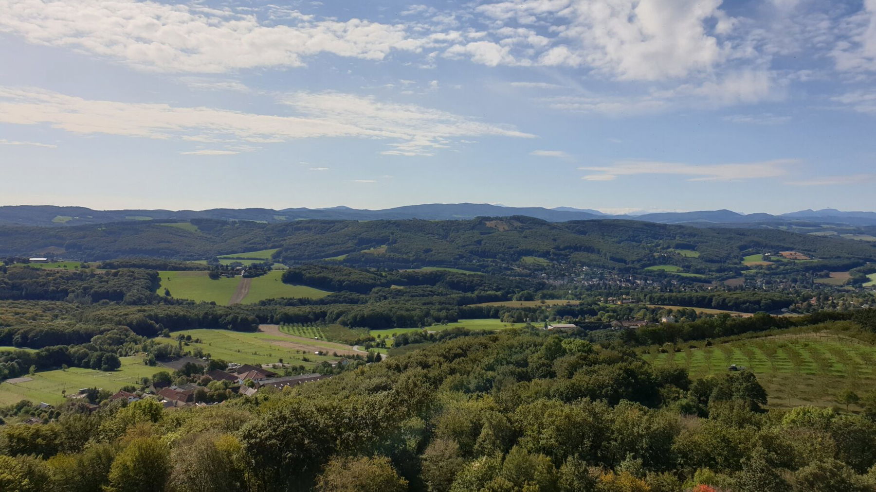 Wienerwald. Foto: Martin Heppner
