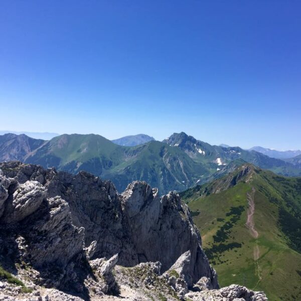 Fledermausgrat Vorderberger Griesmauer. Foto Veronika Schöll
