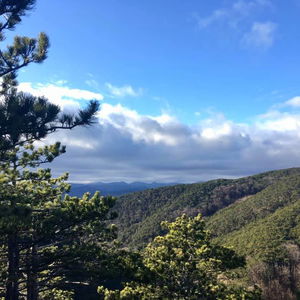 Vöslauer Hüttenrunde - Wanderlaufen