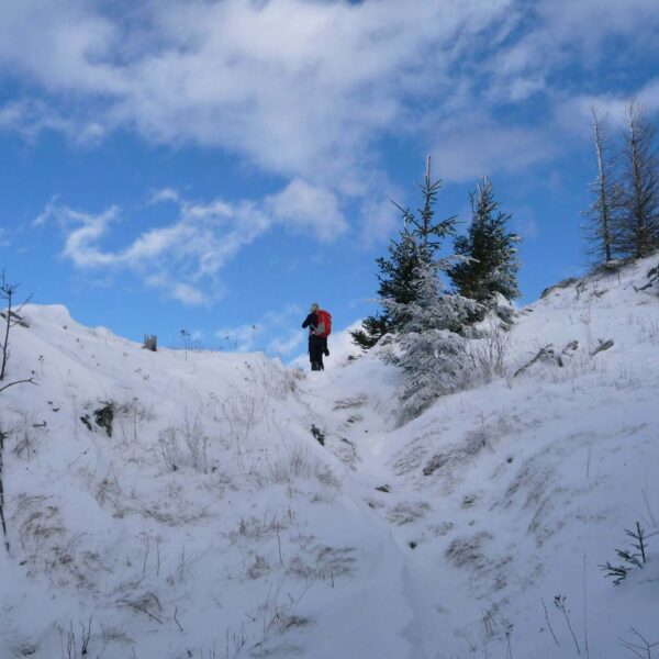 Winterlandschaft zwischen Schober und Öhler.