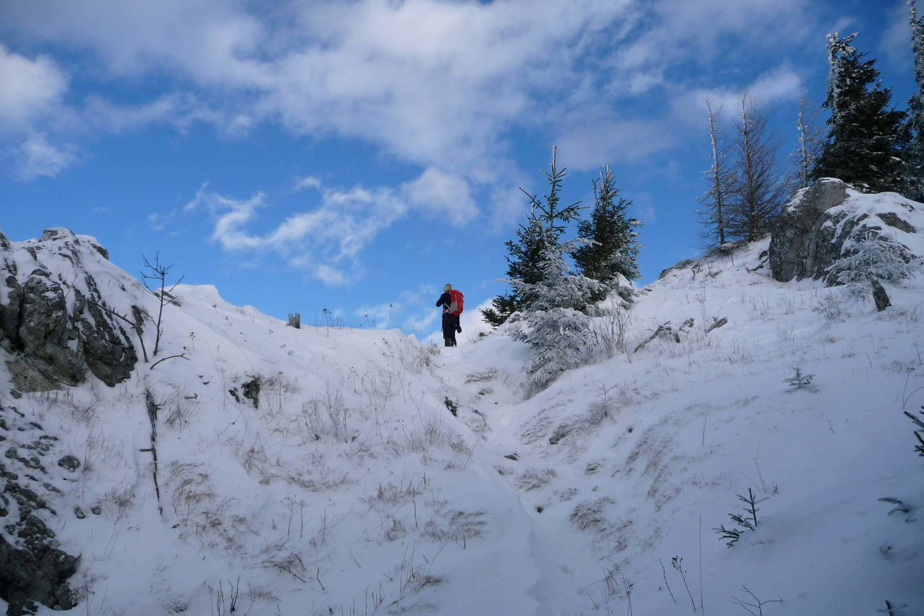 Winterlandschaft zwischen Schober und Öhler.