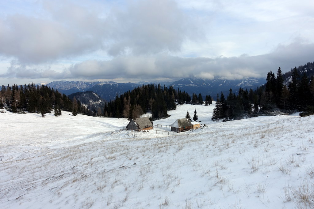 Graualm