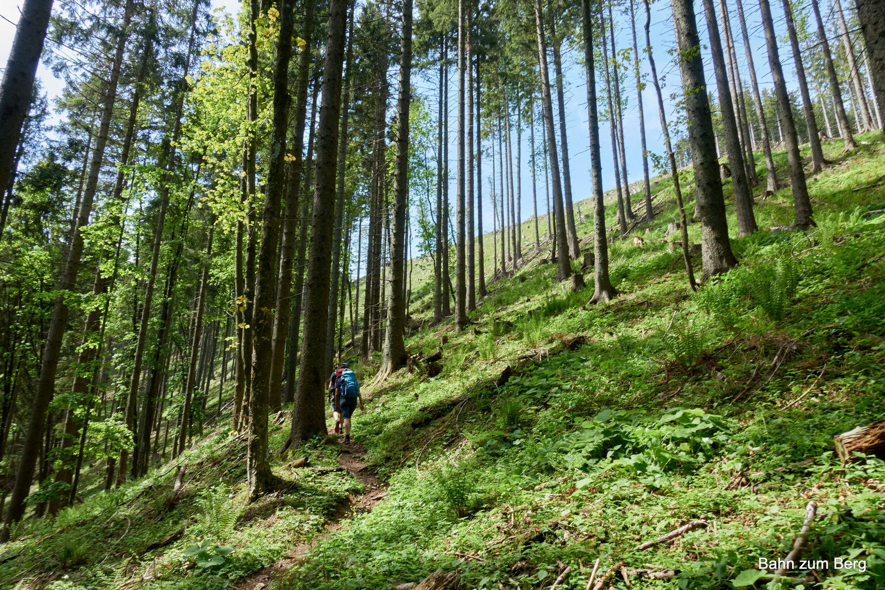 Aufstieg Naßriegel. Foto: Martin Heppner
