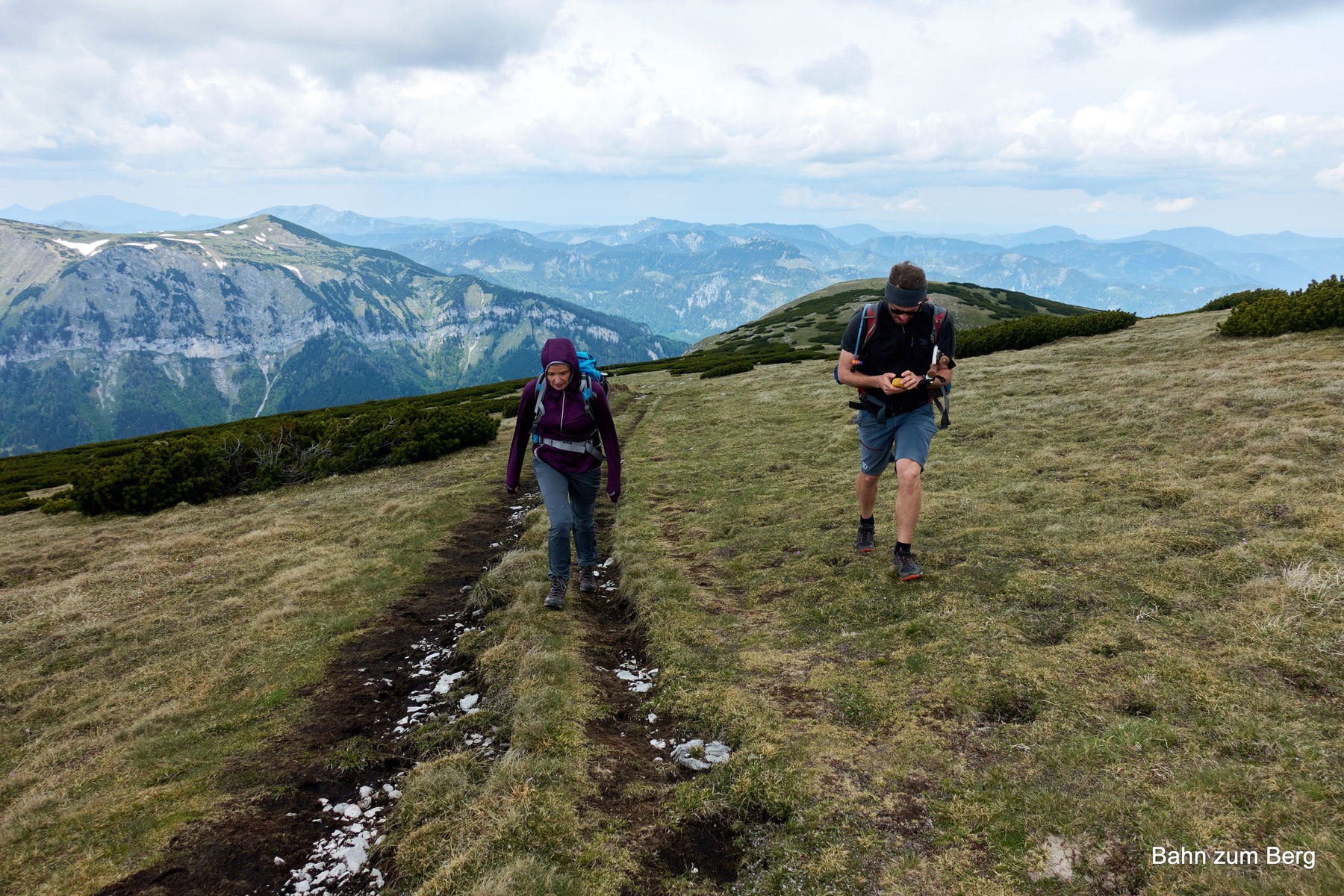 Heukuppe. Foto: Martin Heppner