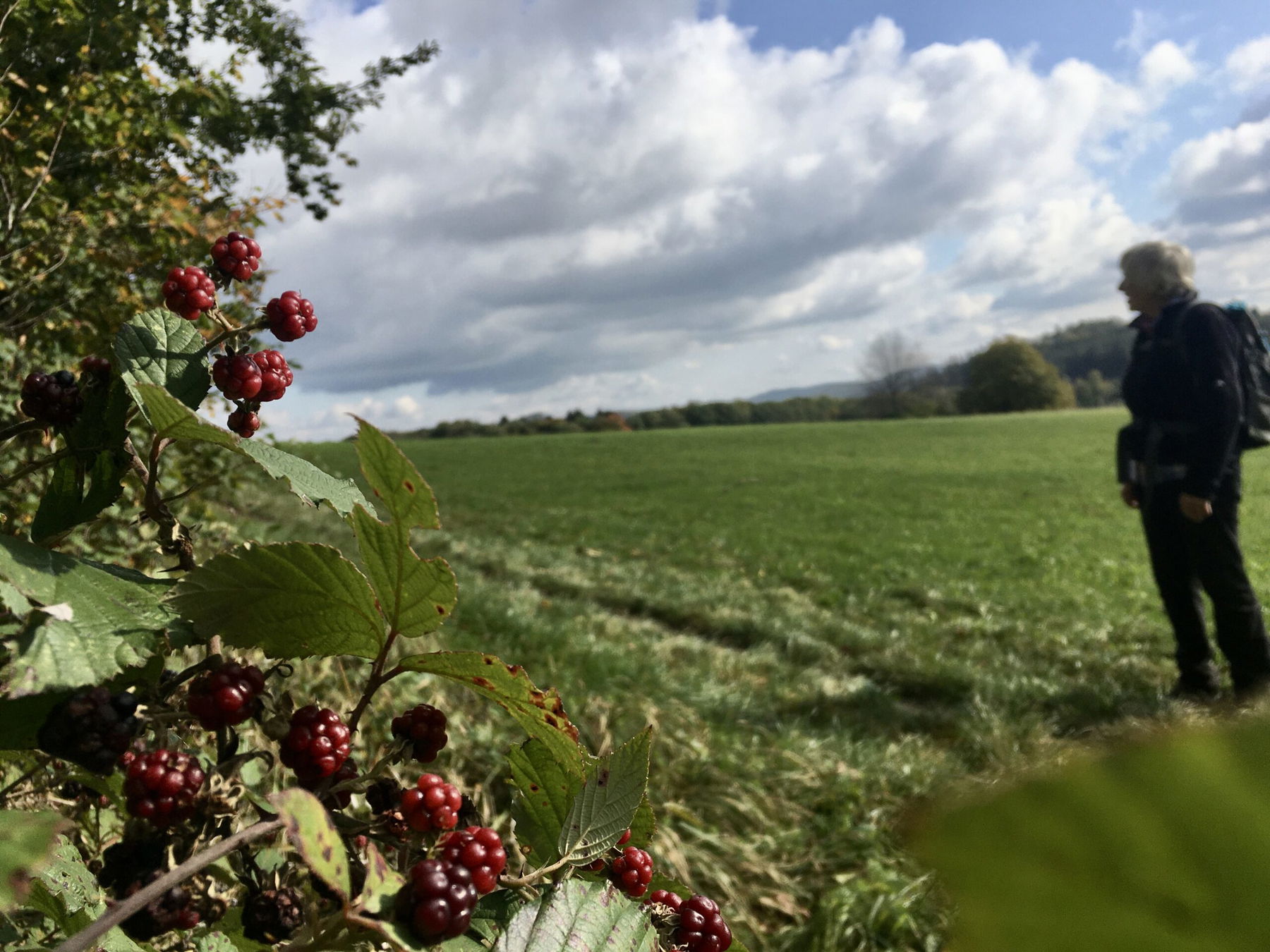 Am Troppberg Panoramaweg