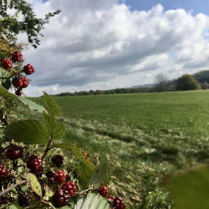 Am Troppberg Panoramaweg