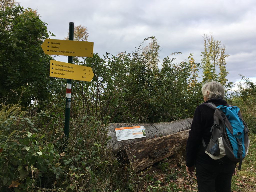 Abzweigung zur Hochramalpe. Foto Veronika Schöll