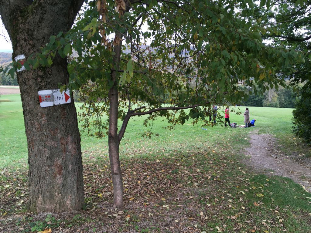 Da gehts nach Purkersdorf runter. Foto Veronika Schöll