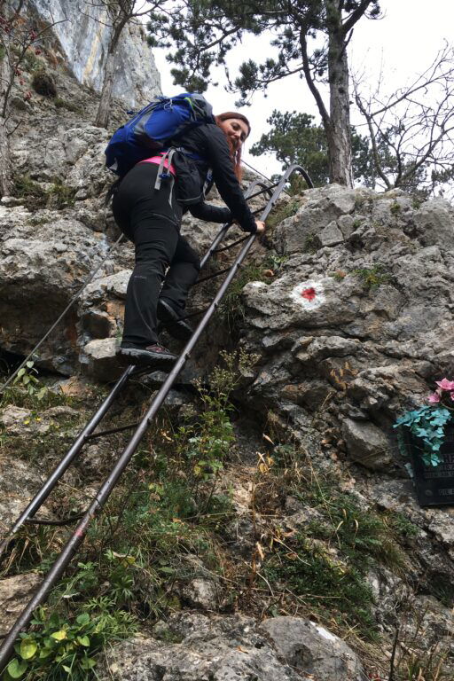 Am Springlessteig, der Sonne entgegen (hoffentlich). Fotos: Krisztina Grünzeis