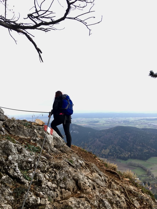 Am Springlessteig, der Sonne entgegen (hoffentlich). Fotos: Krisztina Grünzeis