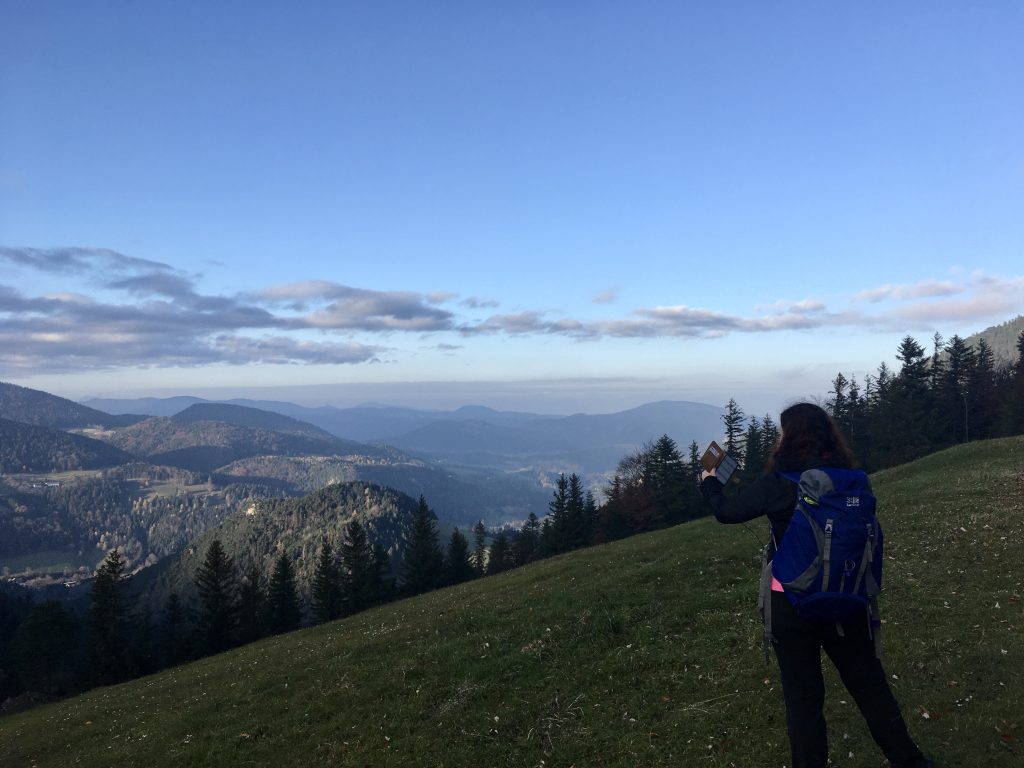Blick hinüber zur Dürren Wand. Foto: Veronika Schöll