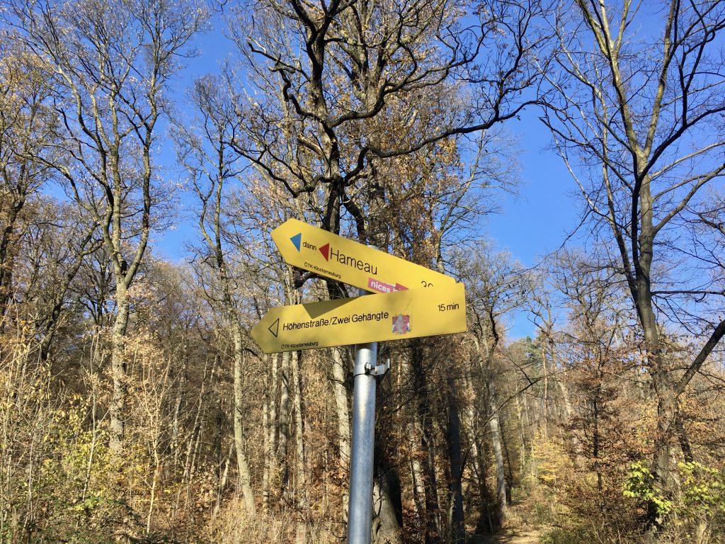 Die richtige Abzweigung am Waldrandweg. Foto Veronika Schöll