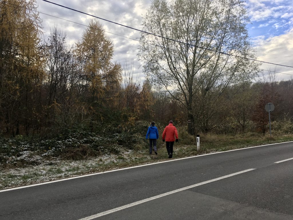Über die Exelbergstraße Foto Veronika Schöll