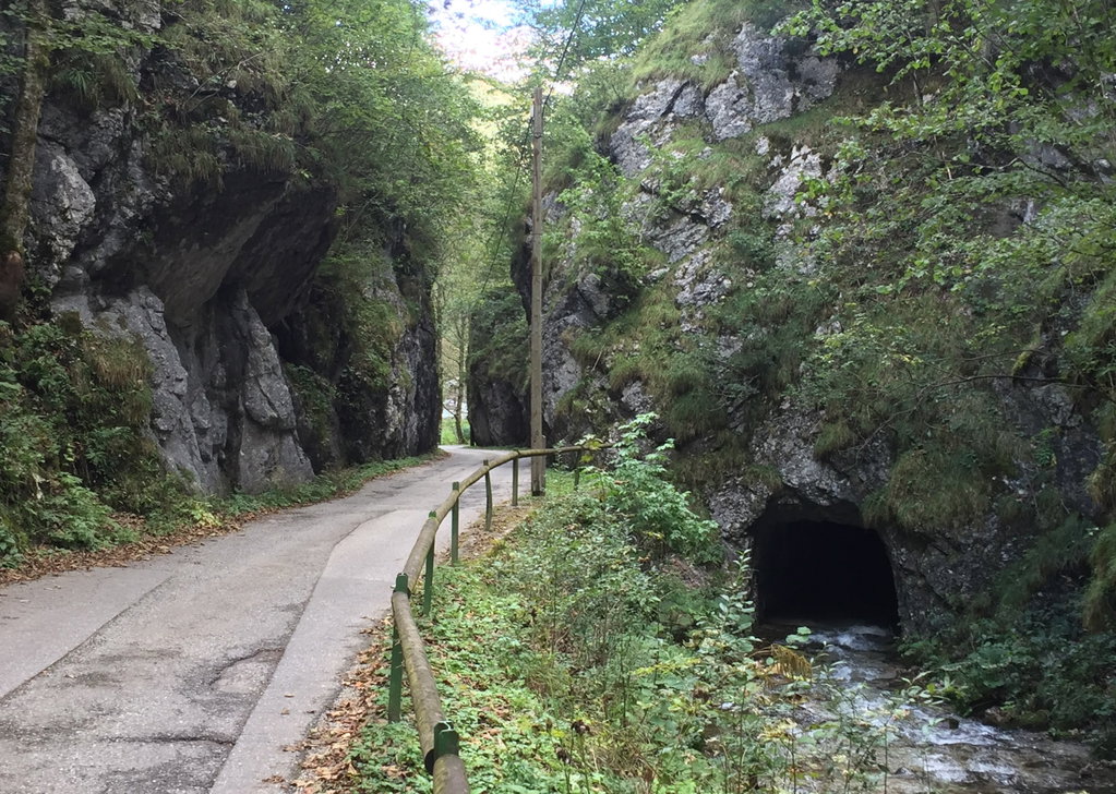 Am Weg nach Hinternaßwald. Foto: Petra Jens