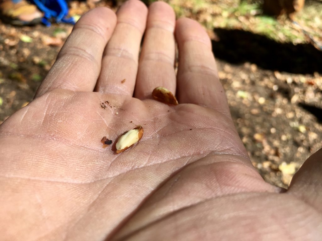 Die Dosis macht das Gift. Foto: Stefan Hochhold