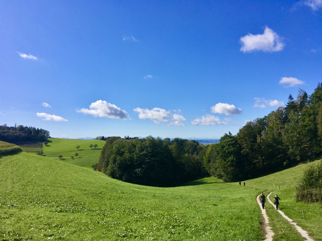 Die wunderbaren Rundungen der Mühlviertler Landschaft. Foto: Stefan Hochhold