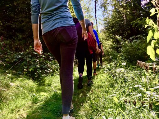 Gänsemarsch. Foto: Stefan Hochhold