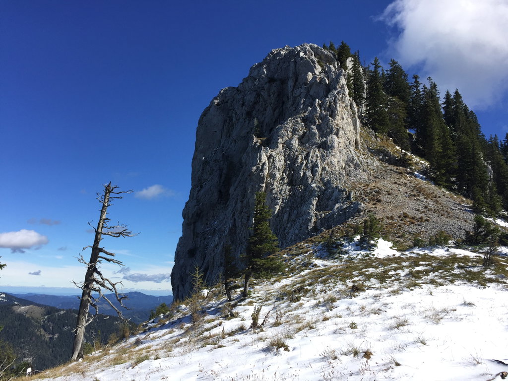 Gipfelanstieg von Westen. Foto: Petra Jens