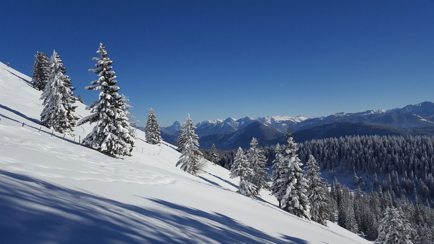 Herrliches Panorama vom Jochberg. Foto: Markus Büchler