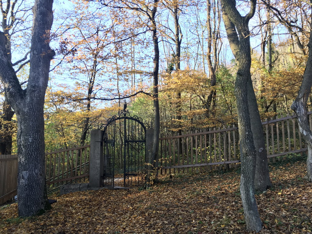 Kahlenberger Friedhof. Foto: Veronika Schöll