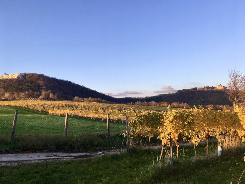 Leopoldsberg und Kahlenberg. Foto: Veronika Schöll
