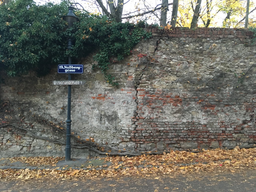 Nußberggasse in Nußdorf. Foto: Veronika Schöll