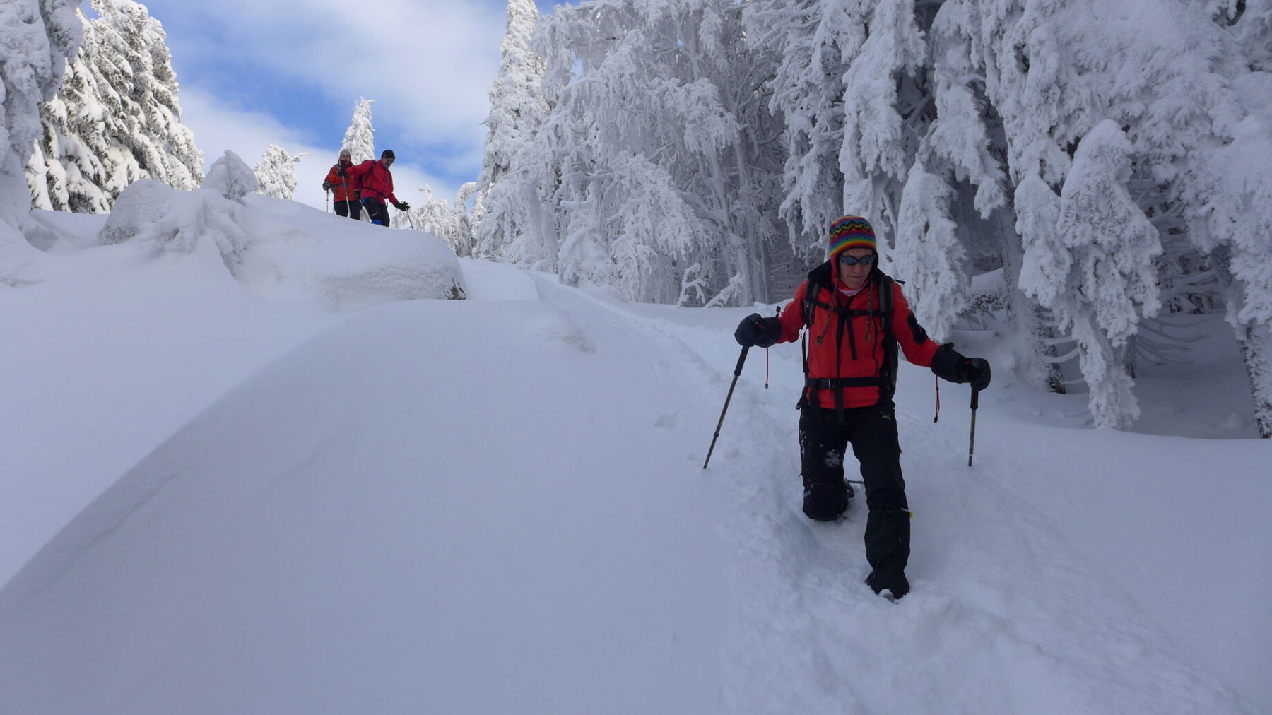 Abstieg. Foto: Csaba Szépfalusi