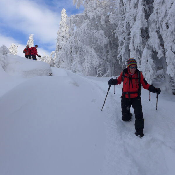 Abstieg. Foto: Csaba Szépfalusi