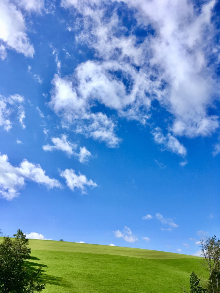 Teletubbie-Wiese. Foto: Stefan Hochhold