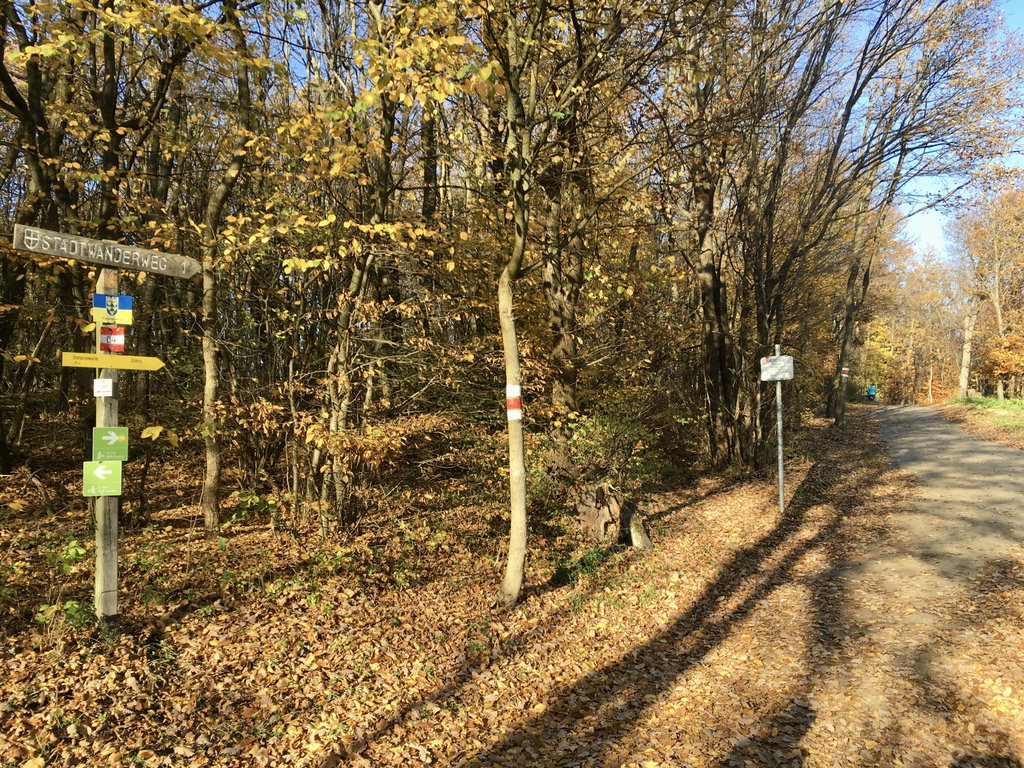 Wanderweg entlang der Höhenstraße. Foto: Veronika Schöll