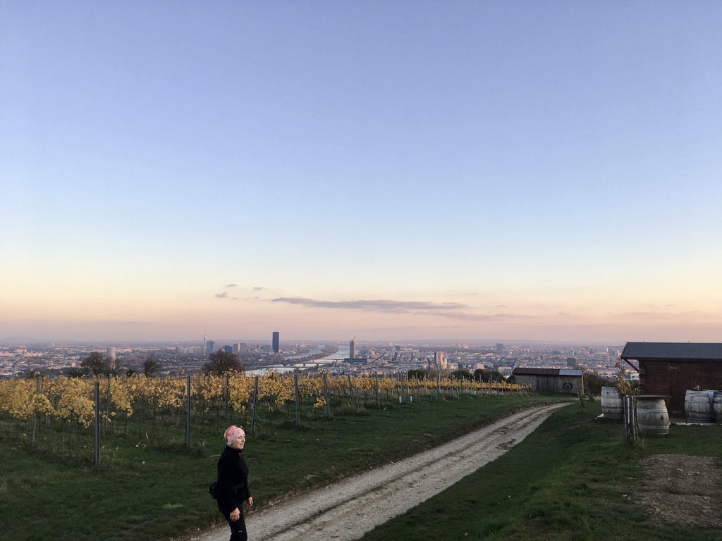 Weg nach Nußdorf. Foto: Veronika Schöll