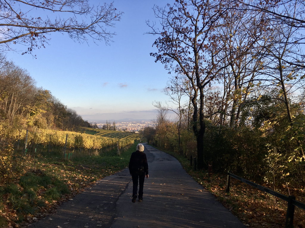 Weg zum Nußberg. Foto: Veronika Schöll