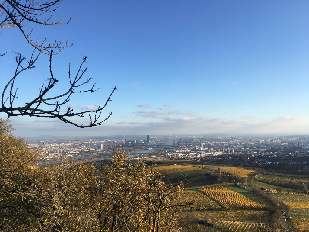 Wienblick vom Kahlenberg. Foto: Veronika Schöll