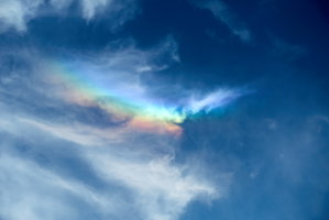 Wir betrachten den Himmel...und machen eine interessante Entdeckung. Fotos: Martin Heppner