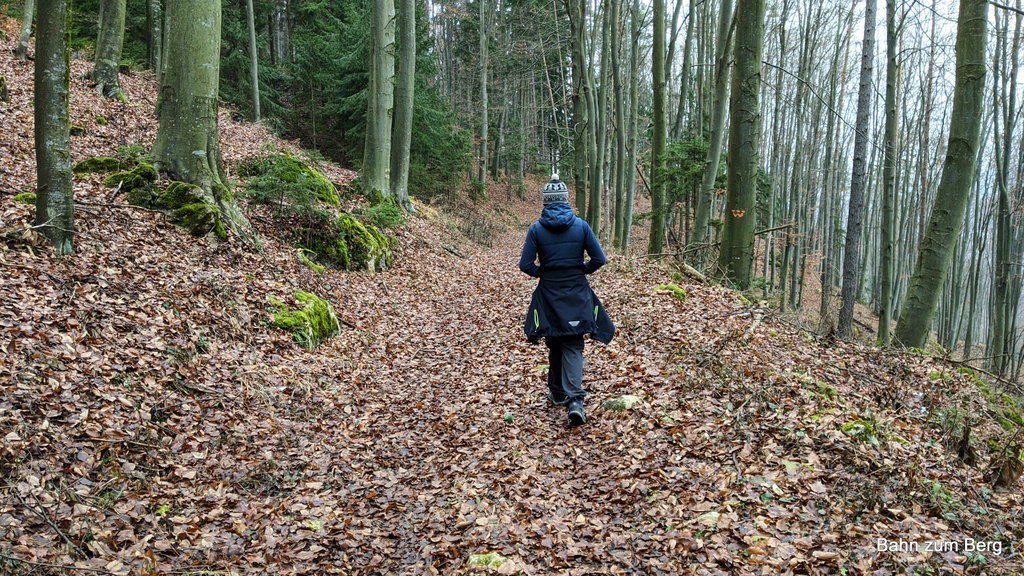 Waldzustieg. Foto: Martin Heppner
