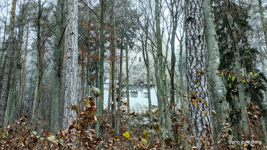 Die Burg ist zwischen den Bäumen schon zu sehen. Foto: Martin Heppner