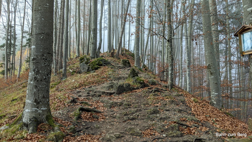 Gratweg zur Oberen Kapelle. Foto: Martin Heppner